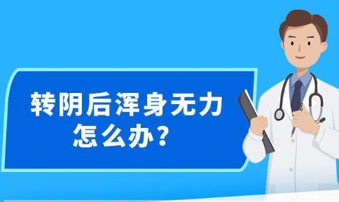 新澳精准资料免费提供精选解释解析落实,新澳精准资料，精选解释解析与落实行动的重要性