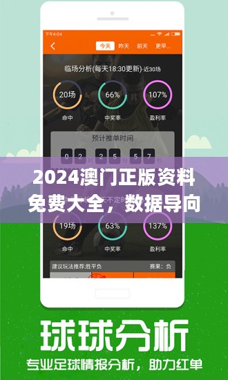 澳门800图库精准精选解释解析落实,澳门800图库精准精选详解与落实策略