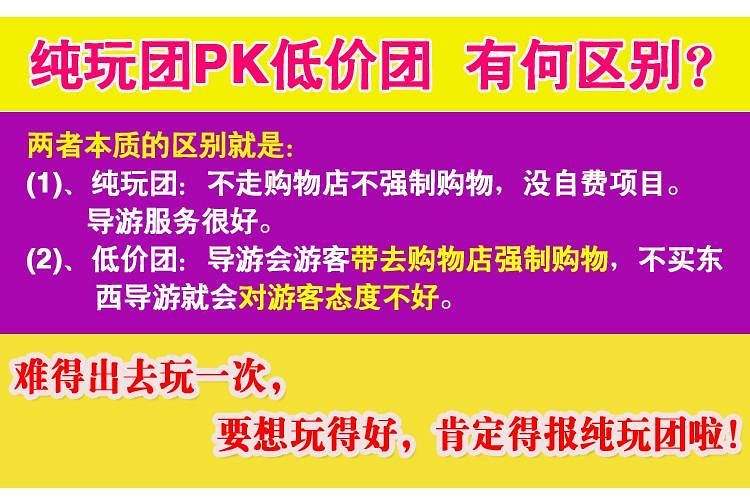 新澳天天开奖资料大全旅游攻略精选解释解析落实,新澳天天开奖资料大全与旅游攻略精选，解析与落实指南