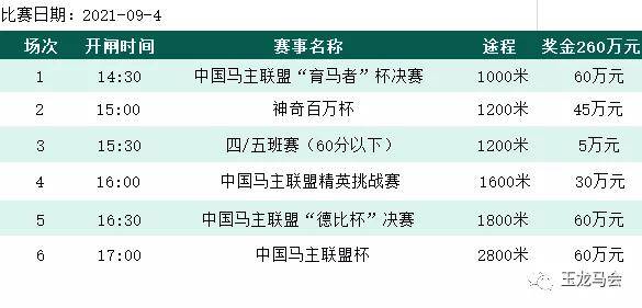 澳门六和彩资料查询2024年免费查询01-32期|公开解释解析落实,澳门六和彩资料查询与解析，走向公开透明的新篇章（2024年免费查询第01-32期）