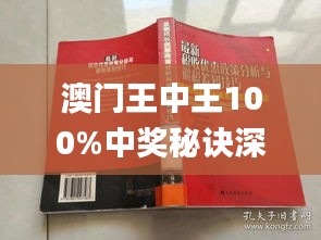 澳门王中王100%期期中|讲解词语解释释义,澳门王中王100%期期中，揭秘词汇背后的含义与故事