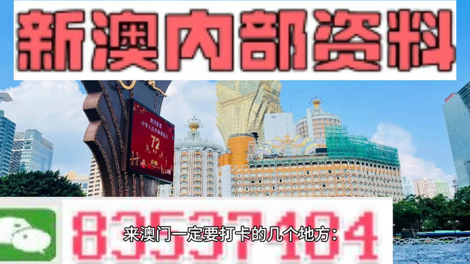 新澳门2024年正版免费公开|讲解词语解释释义,澳门新资讯与词汇解读，2024年正版免费公开