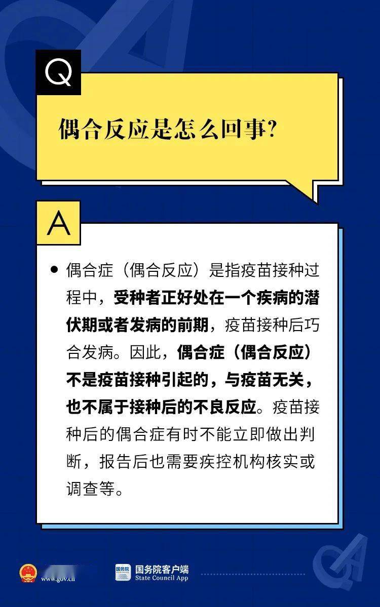 2024新澳门精准免费|公开解释解析落实,新澳门精准免费公开解释解析落实策略展望